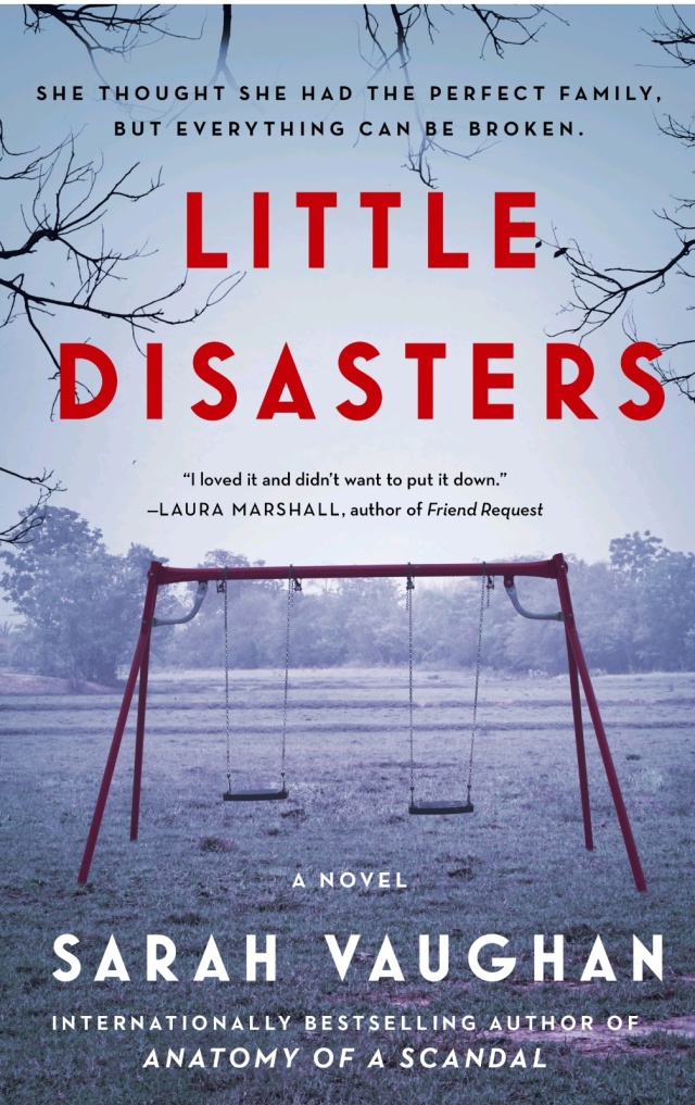 Book : Little Disasters